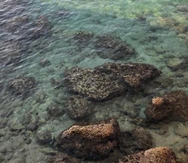 Monopoli Apartment | Casa Vacanze Antiche Mura E Poi