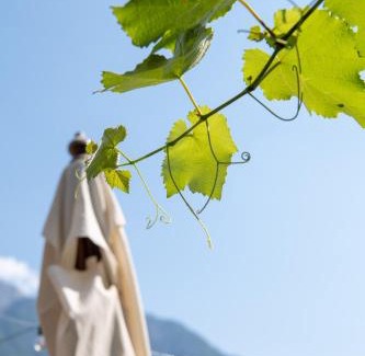 Pieve di Cadore Apartment | Casa Vacanze Zummer Frei Studio