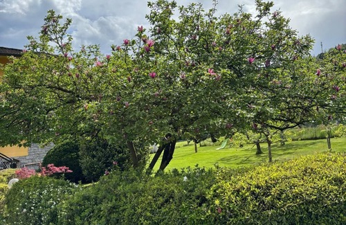 Comero Apartment | Casa Val Grande relaxation in the nature of the park and on the shores of Lake Maggiore
