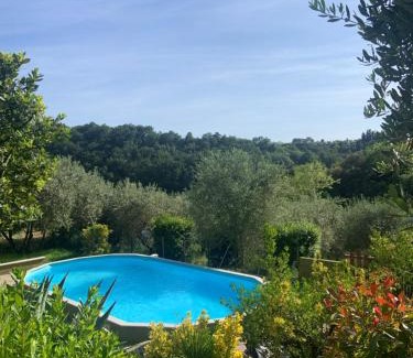 Montescudaio Apartment | Casa Verde Country House