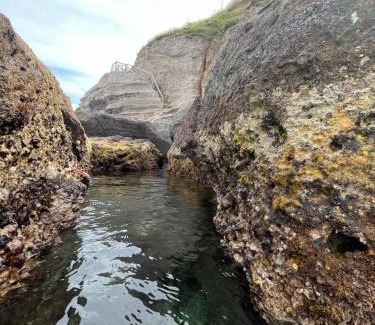 Capraia Isola House | Casa vista Castello