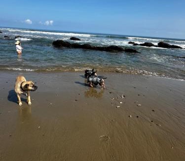 Punta Sal House | Casa Waltako