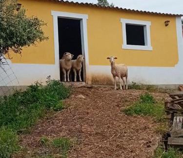 Alcobertas House | Casal da FontAgrão