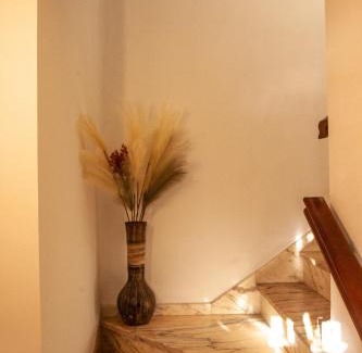 Tomino House | Casanova