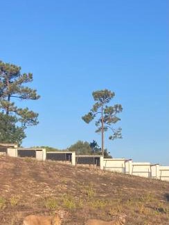 Rio Maior House | Casas de São José