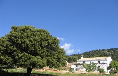 Campocamara House | Casas Rurales Cortijo Cerro Fuentes Nuevas
