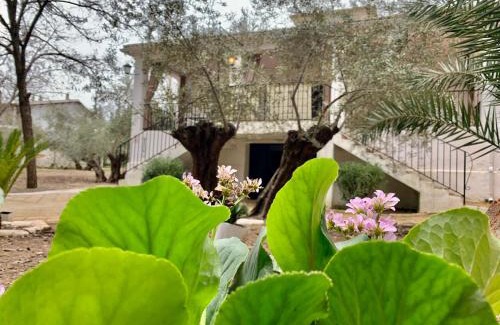 Baeza House | Casería San José