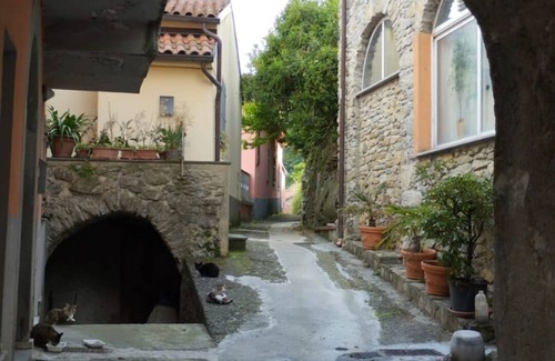 Masero House | Casetta Immersa nel Verde Della Lunigiana, Un'oasi del Sole e del Relax