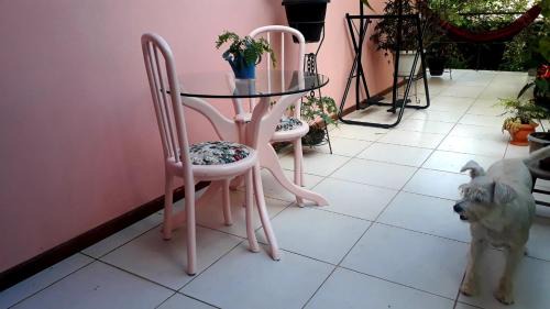 Nova Friburgo House | Casinha na serra