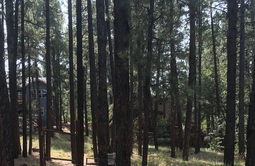 Flagstaff Cabin | Casita in the Woods
