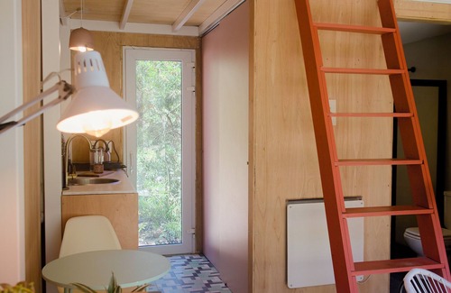 Punta Ballena House | Casita Studio among the pines of Punta Ballena (with kittens)