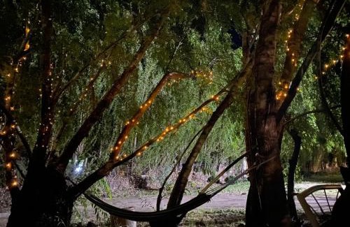 Chile Chico Hotel | Casona Belga Hotel Boutique y Restaurante