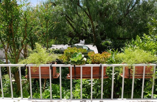 Cassis Apartment | Cassis , F2 4 Personnes , Terrasse, Parking, Plage et Port à Pied