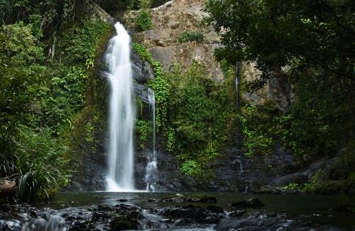 Upper Daintree Ski Chalet | Cassowary Falls Gateway Daintree