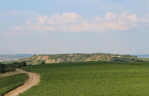 Ensheim House | Castillo 1