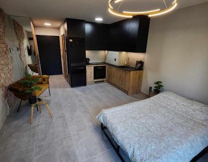 City Centre Apartment | Castle loft apartment,Spa, Gym ,Sauna & Swimming pool free parking