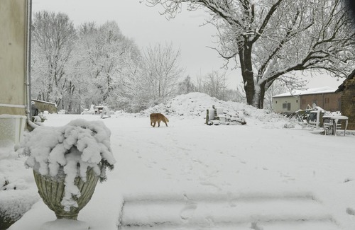 Neuenhagen Other | Castle Neuenhagen, silence and flair in Oderbruch