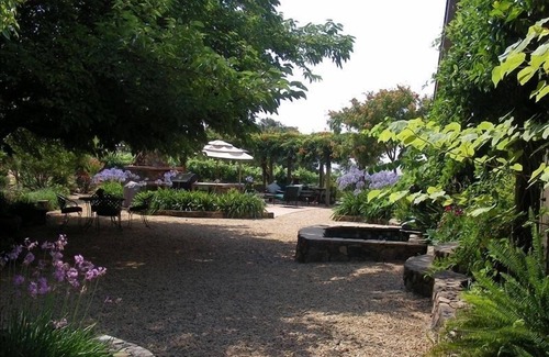 Sonoma House | Casual Wine Country Home 3 Br 3 Bath - Vineyard and Views