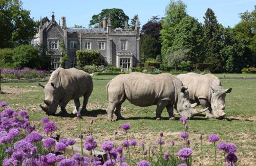 Chedworth House | Cats Abbey Cottage