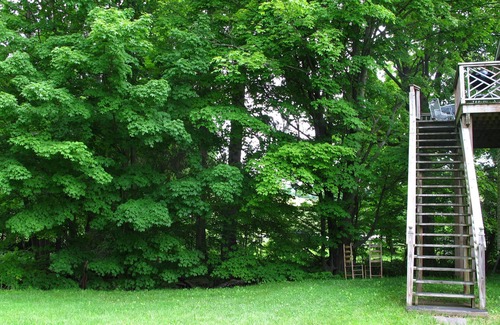 Andes Apartment | CATSKILLS/ANDES/WEDDING/LONGTERM VACATION/VERY CLEAN