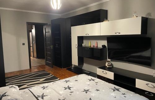 Barlad Apartment | Cazare Bârlad 4