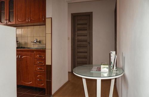 Medias Apartment | Cazare Medias, apartament modern