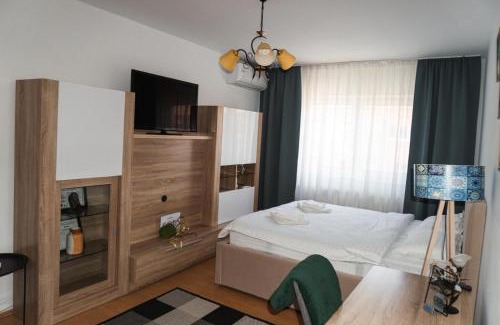 Medias Apartment | Cazare Medias, apartament modern