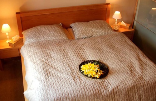 Janske Lazne Bed & Breakfast | Cedrovka