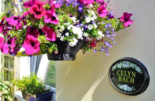 Blaencelyn House | Celyn Bach Llangrannog
