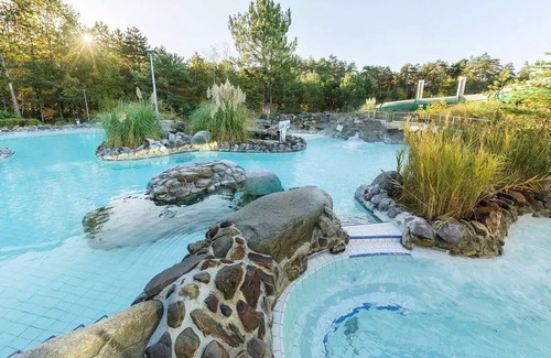 Chaumont-sur-Tharonne House | Center Parcs - Domaine des Hauts de Bruyères - 3 Room Cottage 4 People Premium