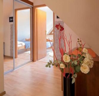 Zakopane Apartment | Central Apartments - Great Location - Pod Skocznią - Bogowka14