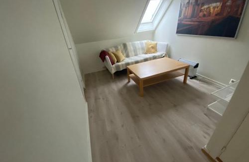 Engen Apartment | Central appartment with a nice view