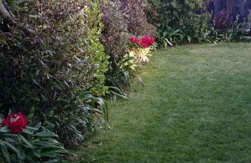Rotorua House | Central, Convenient, Comfortable
