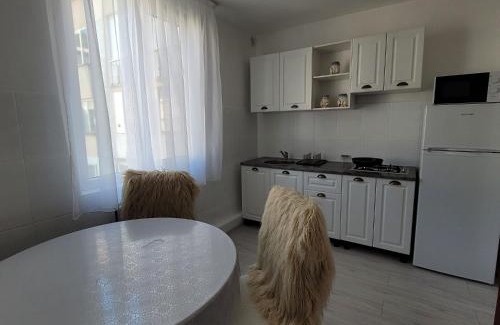 Piatra Neamt Apartment | Central Residence