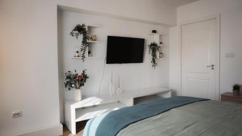 Calimanesti Apartment | Central View Calimanesti