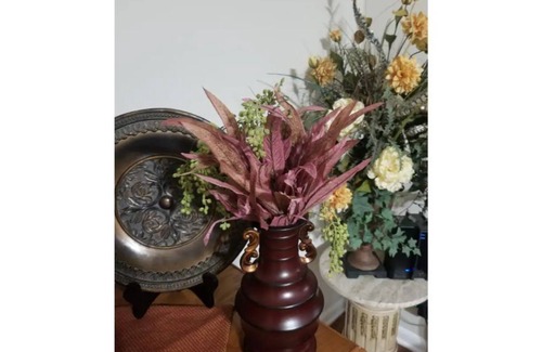 Lima House | Centrally located, SELF CATERING home.