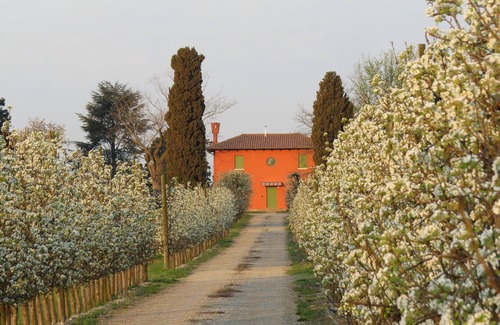 Terzo d'Aquileia House | CENTURIA THE COMPANY 'FARM HOUSE HOLIDAYS, BETWEEN ART AND NATURE RELAX