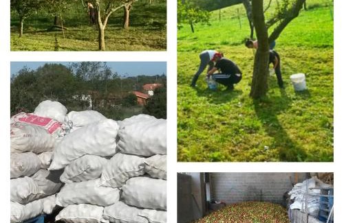 Llanes Apartment | Cerezal 3, Loft en plena naturaleza