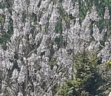 Campo Alegre House | CHÁCARA QUEDINHA D'ÁGUA