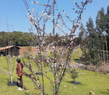 Campo Alegre House | CHÁCARA QUEDINHA D'ÁGUA