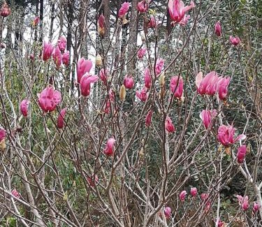 Campo Alegre House | CHÁCARA QUEDINHA D'ÁGUA