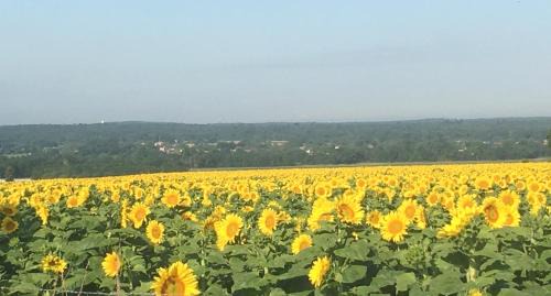 Agris Bed & Breakfast | Château des Fouilloux