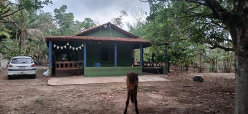 Benevides Bed & Breakfast | Chacara da Déia