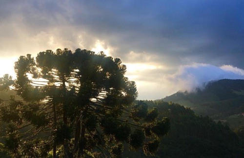 Camanducaia House | Chalé da Montanha BJ