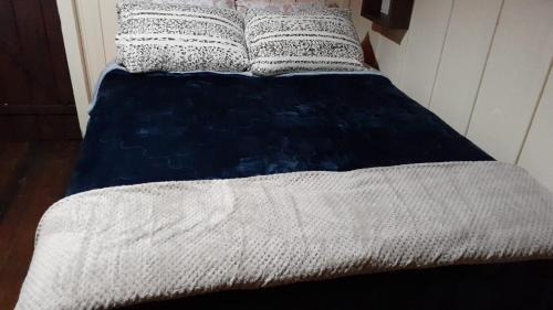 Doutor Pedrinho Ski Chalet | Chalé das Margaridas