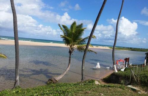 Imbassai Ski Chalet | Chalé de Madeira nr01 - Exuberante Flora e Fauna - IMBASSAI
