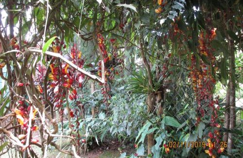 Maringa House | Chalé dos Gnomos