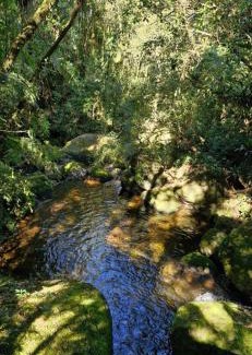 Sao Francisco Xavier House | Chalé Fazenda das Águas