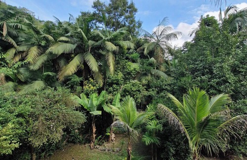 Iporanga Ski Chalet | Chalé Floresta Toca da Serra PETAR