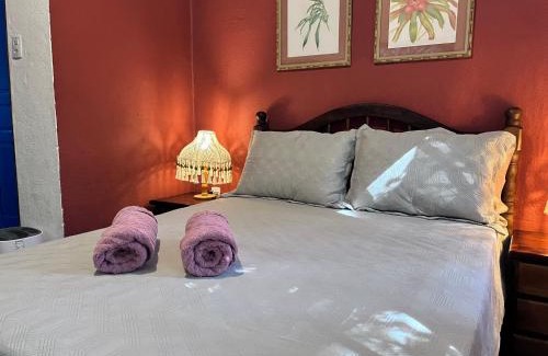 Itatiaia Ski Chalet | Chalé Gaia - Hospedagem Itatiaia